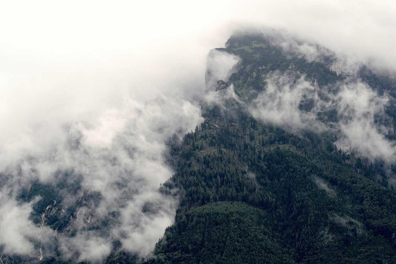 Omnis dolorum magni ut autem repellat voluptatem